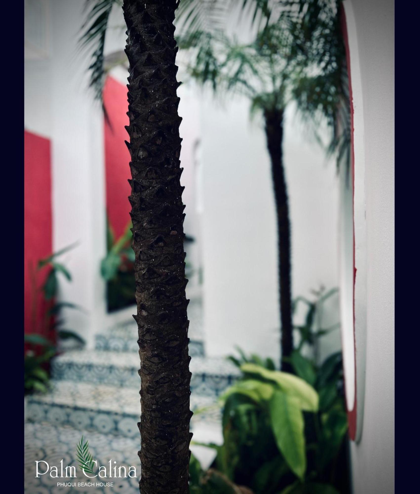 Palmcalina - Phuqui Beach House Cu Lao Thu Bagian luar foto